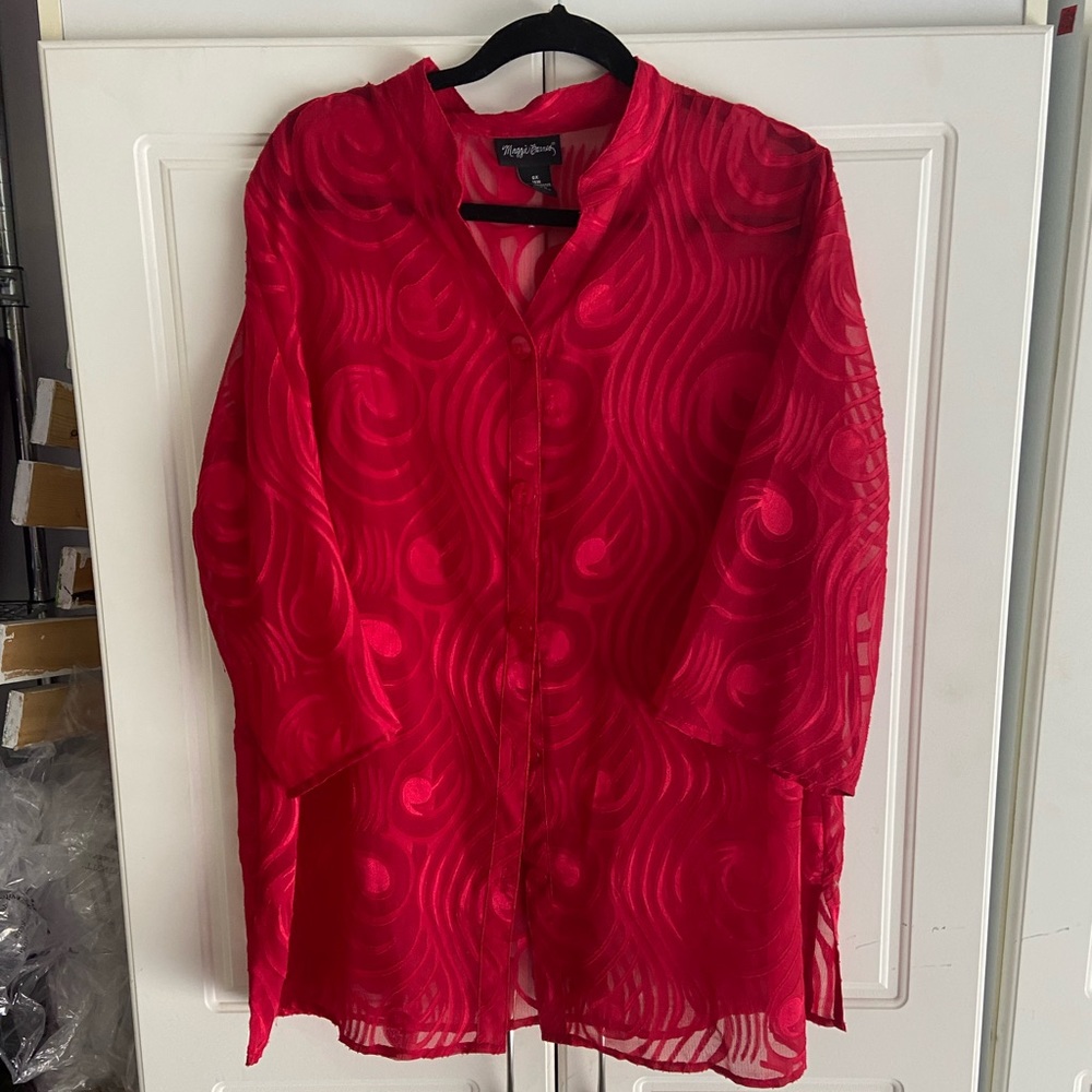 Cool Y2K Sheer Button Up